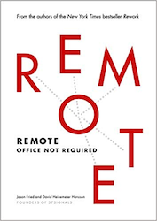 Remote Book Cover